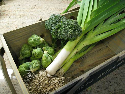 leeks