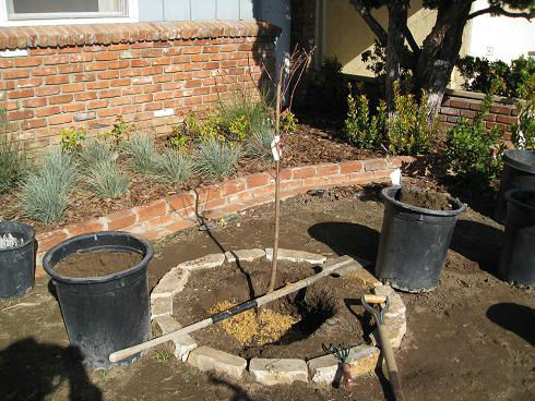 Planting