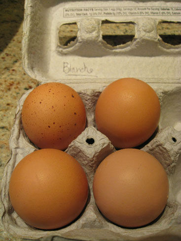 blancheseggs