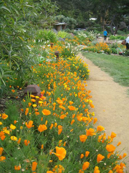 Teaching_at_Esalen1