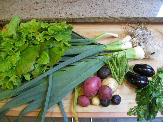 late_spring_harvest