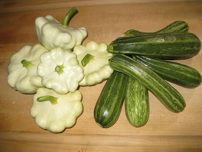 squash_bonanza