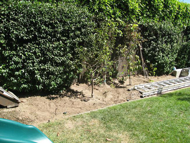 FallGarden_before