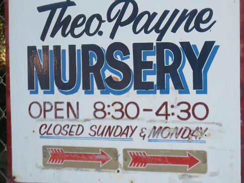 TheodorePayneSign