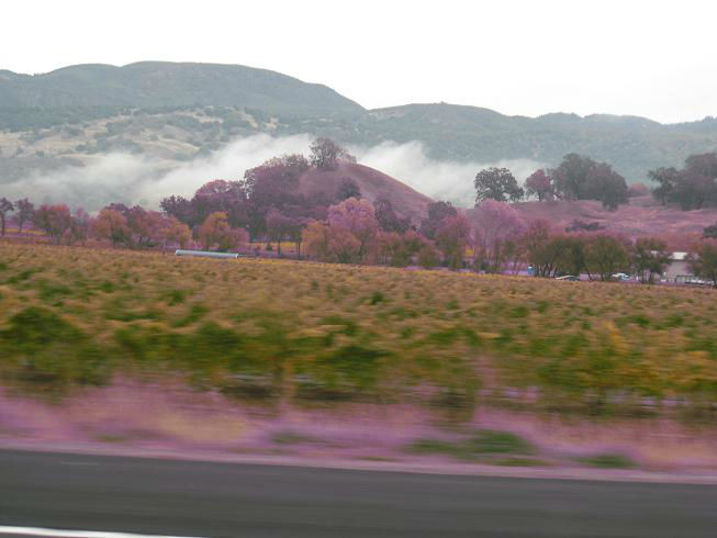 leavingWillits