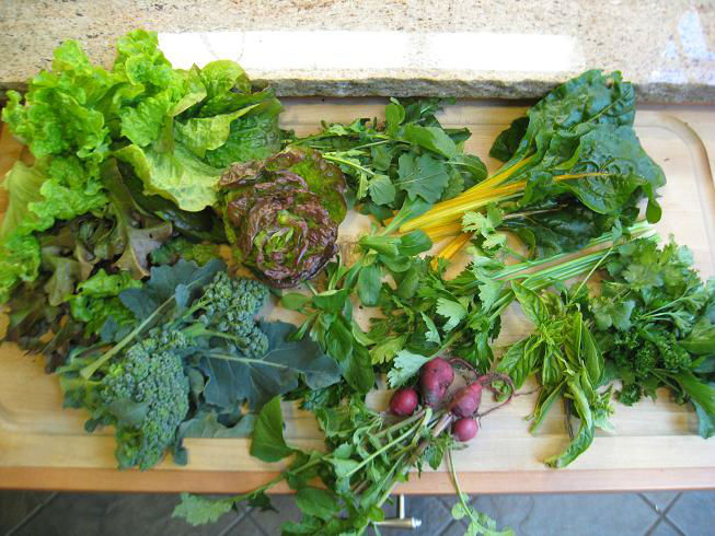 winterharvestveggies