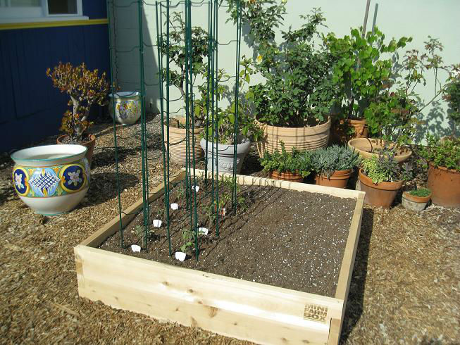 CompletedMiniFarmBox