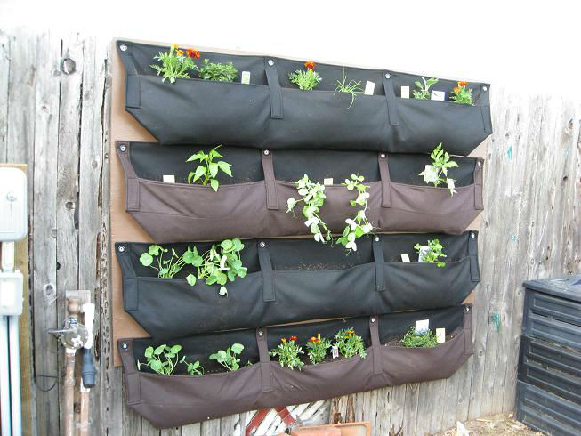 PlantedWoollyPockets