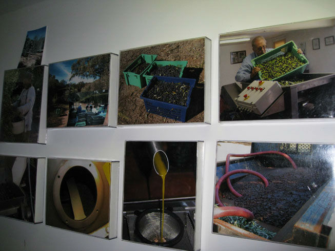 Processphotos