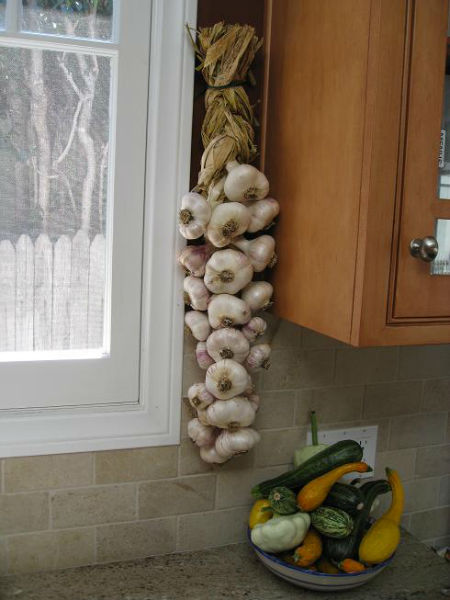 garlicbraid