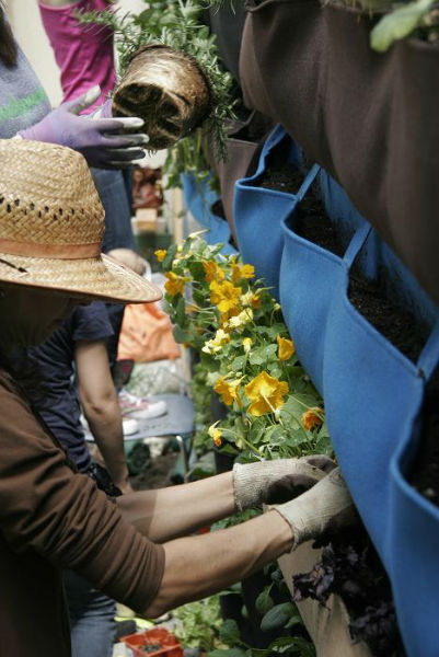 PlantingtheWoollySchoolGarden