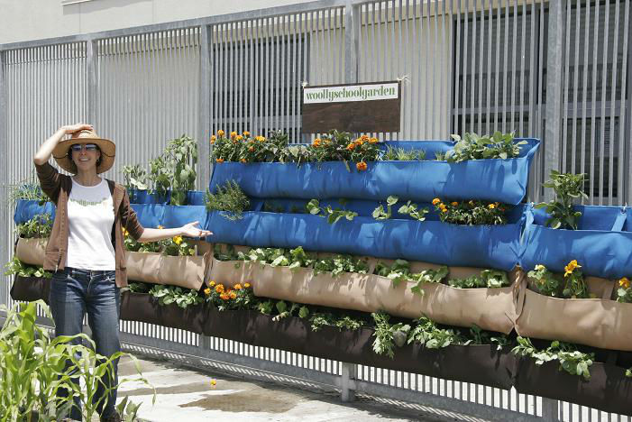 WoollySchoolGarden