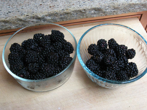 freshblackberries