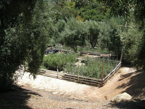 nursery