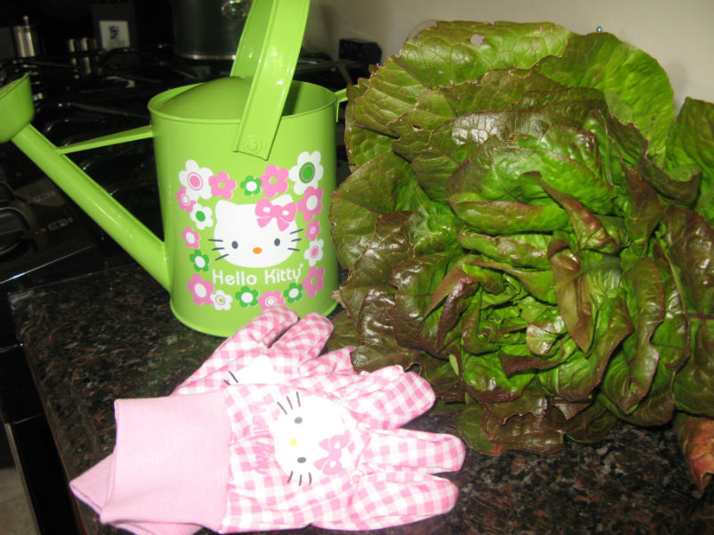 Hello_Kitty_garden2