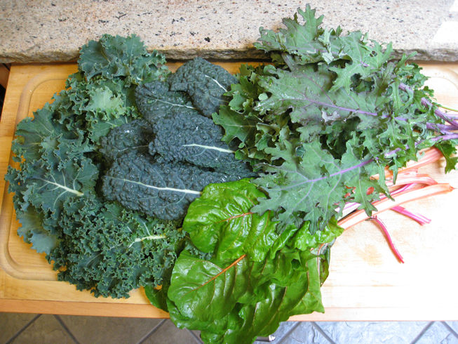 springkaleharvest
