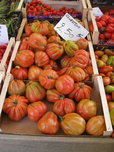 canestinotomato