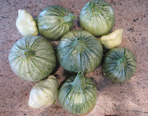 zucchiniandpattypansquash