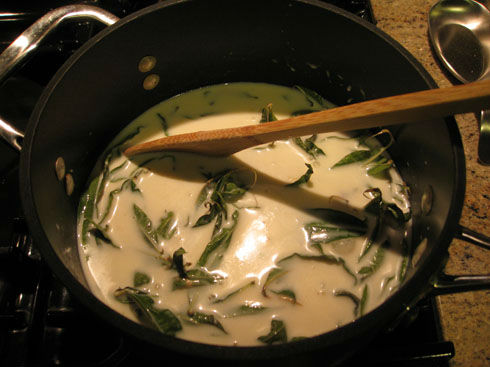 steepinglemonverbena