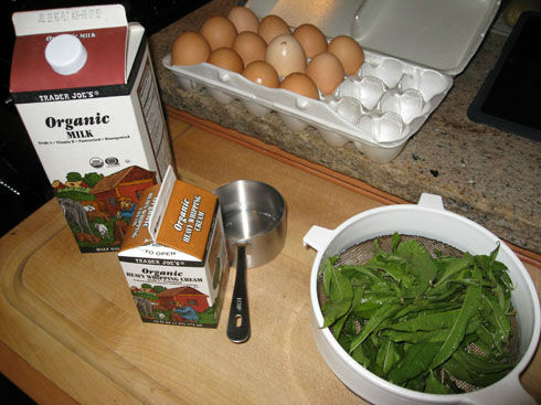 verbenaicecreamingredients