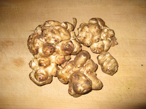 jerusalemartichokes