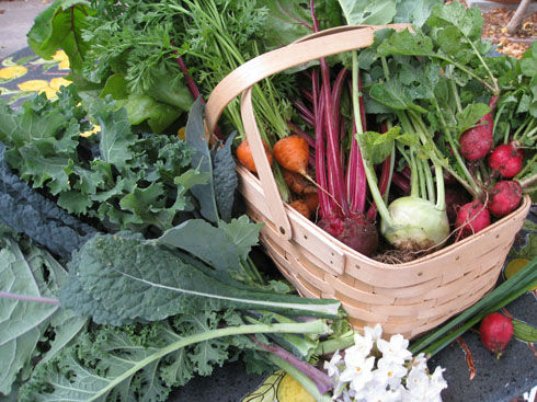 bountifulharvest
