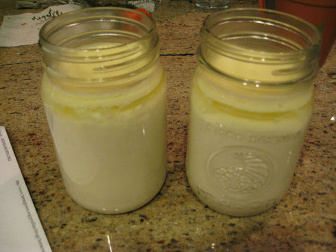finishedyogurt1