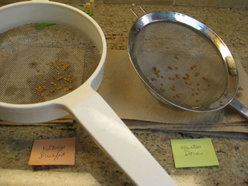 screentomatoseeds