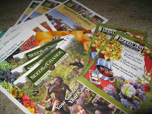 Catalogs2