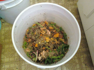 Bucket_Layered_Scraps_w_Bokashi