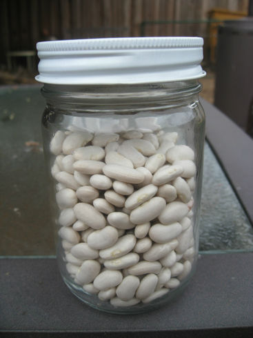 JarredRomanobeans