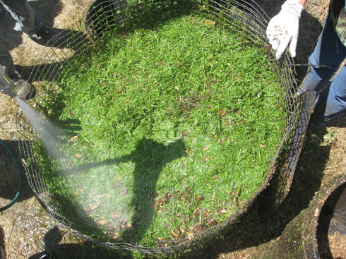 wateringcompostpile