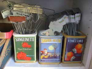 Plant markers organized in vintage jars