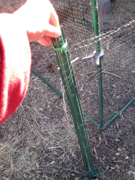 New "gate" in action