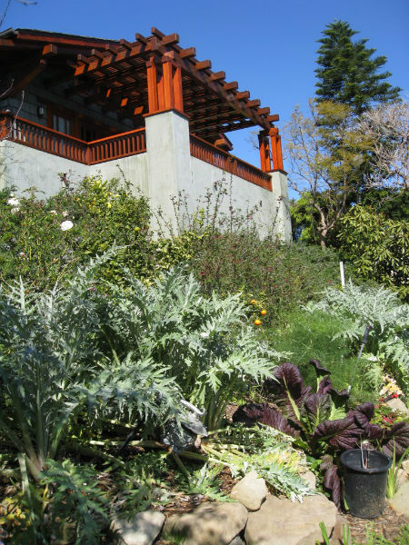 Linda's husband, Richard's recording studio overlooks a slope of rosemary, fruit trees and artichokes.