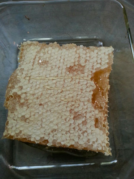You can cut the comb into small squares or circles with a biscuit cutter and give them as gifts. This is pre-cut.