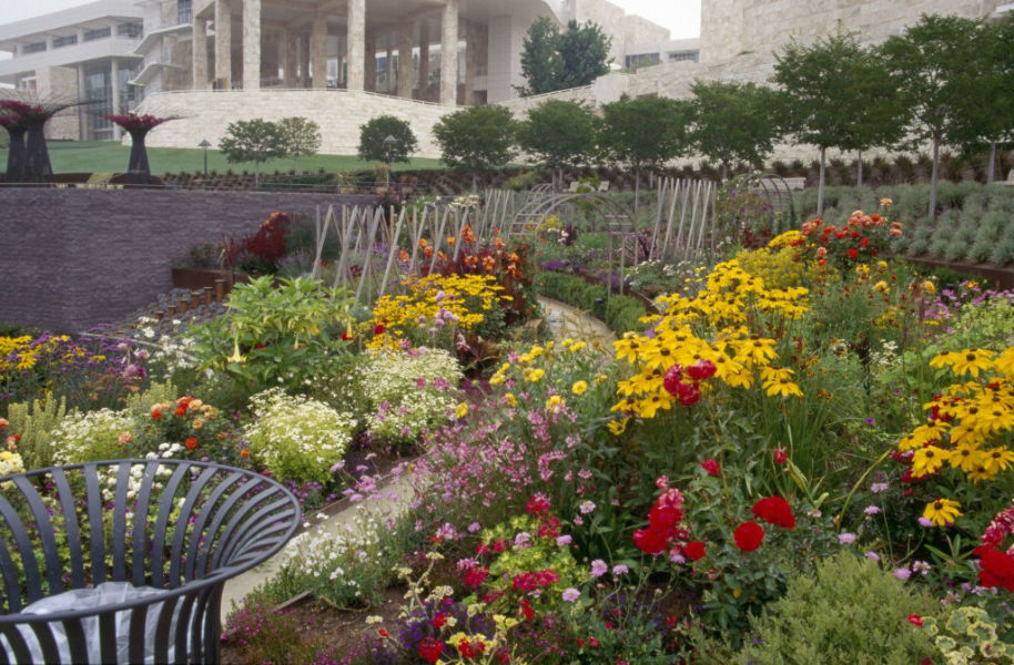 Flowers in bloom this summer