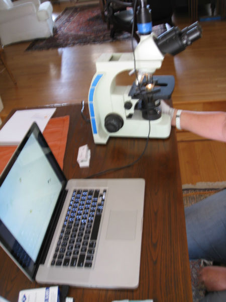 Compost Teana's microscope tells all