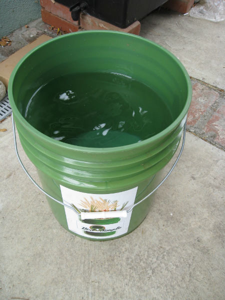 fresh filtered water