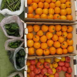 produce exchange