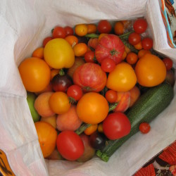 produce exchange3