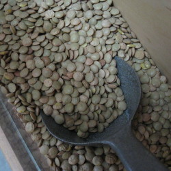 lentils