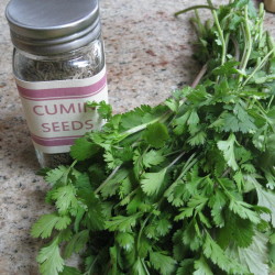 cumin and cilantro