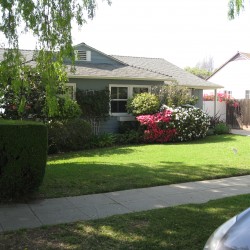 Schulman before
