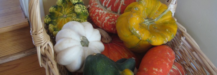 Some home grown, some pilfered. All beautiful.