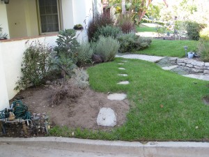 Elman-Garden-before