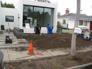 Jared-Hendler-before